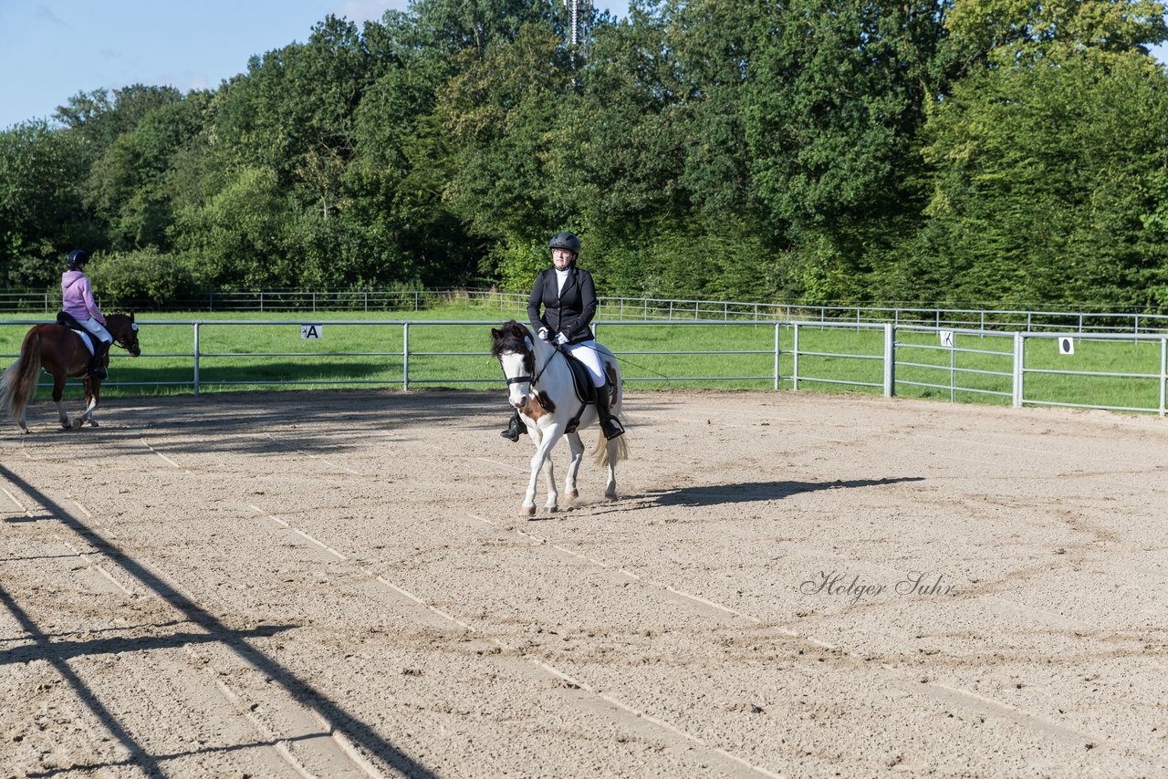 Bild 19 - Pony Akademie Turnier